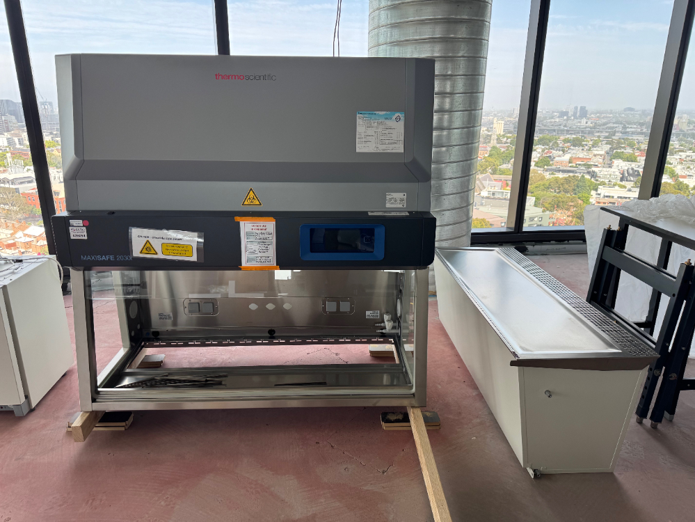 Image of Thermo MaxiSafe 2030i 5' BioSafety Cabinet